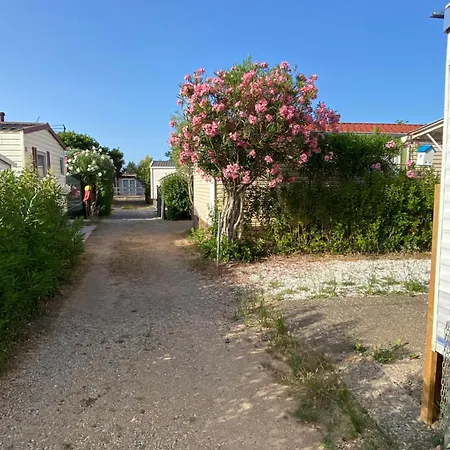 Kemping Location Cote D'azur *