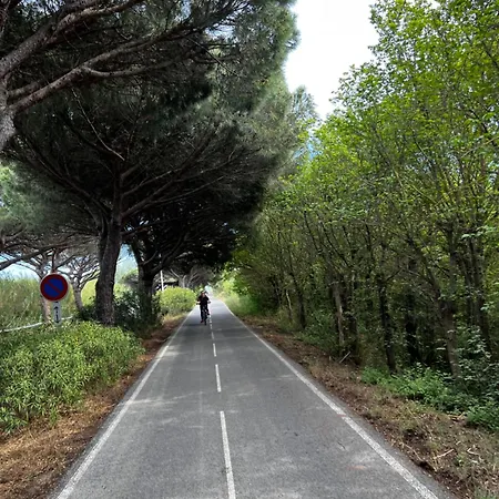 Campsite Location Cote D'azur Frejus