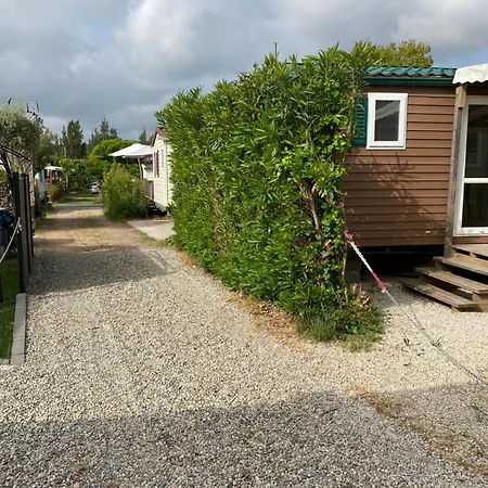Campsite Location Cote D'azur *